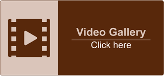 Video Gallery