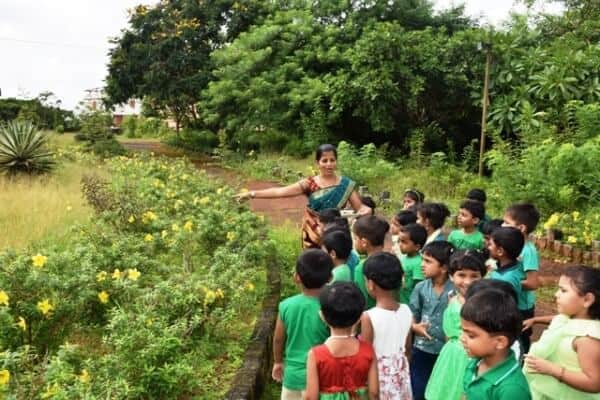 Lush and Green – LKG kids celebrate Nature Day