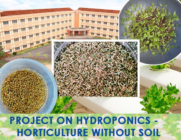 HYDROPONICS – Horticulture without Soil