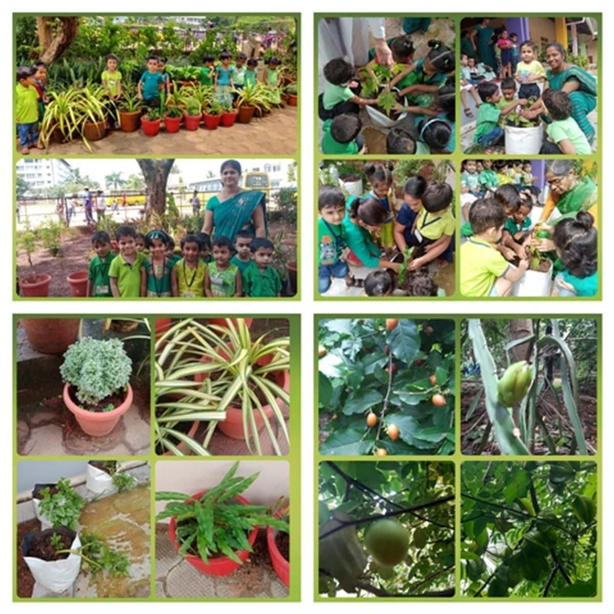 Nursery Kids celebrate World Nature Conservation Day