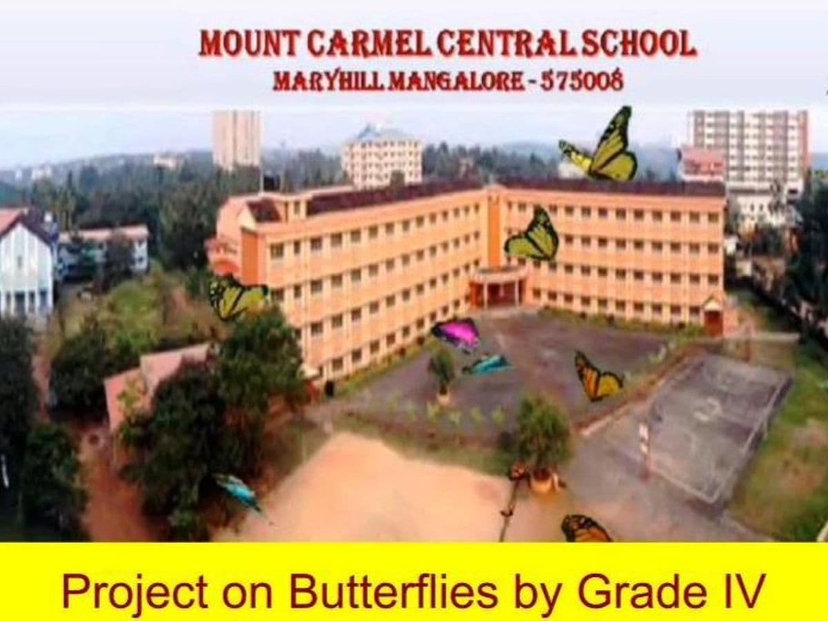 Students of Grade IV journey into the colourful and magical world of the Butterflies